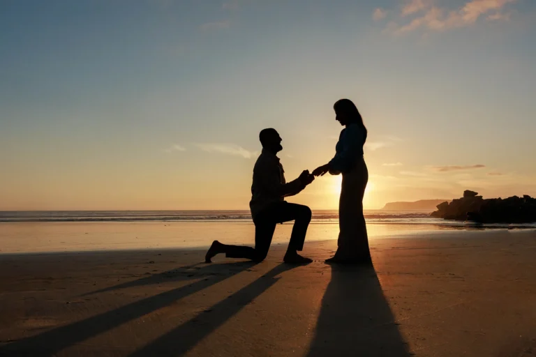 Silhouette Portrait Proposal