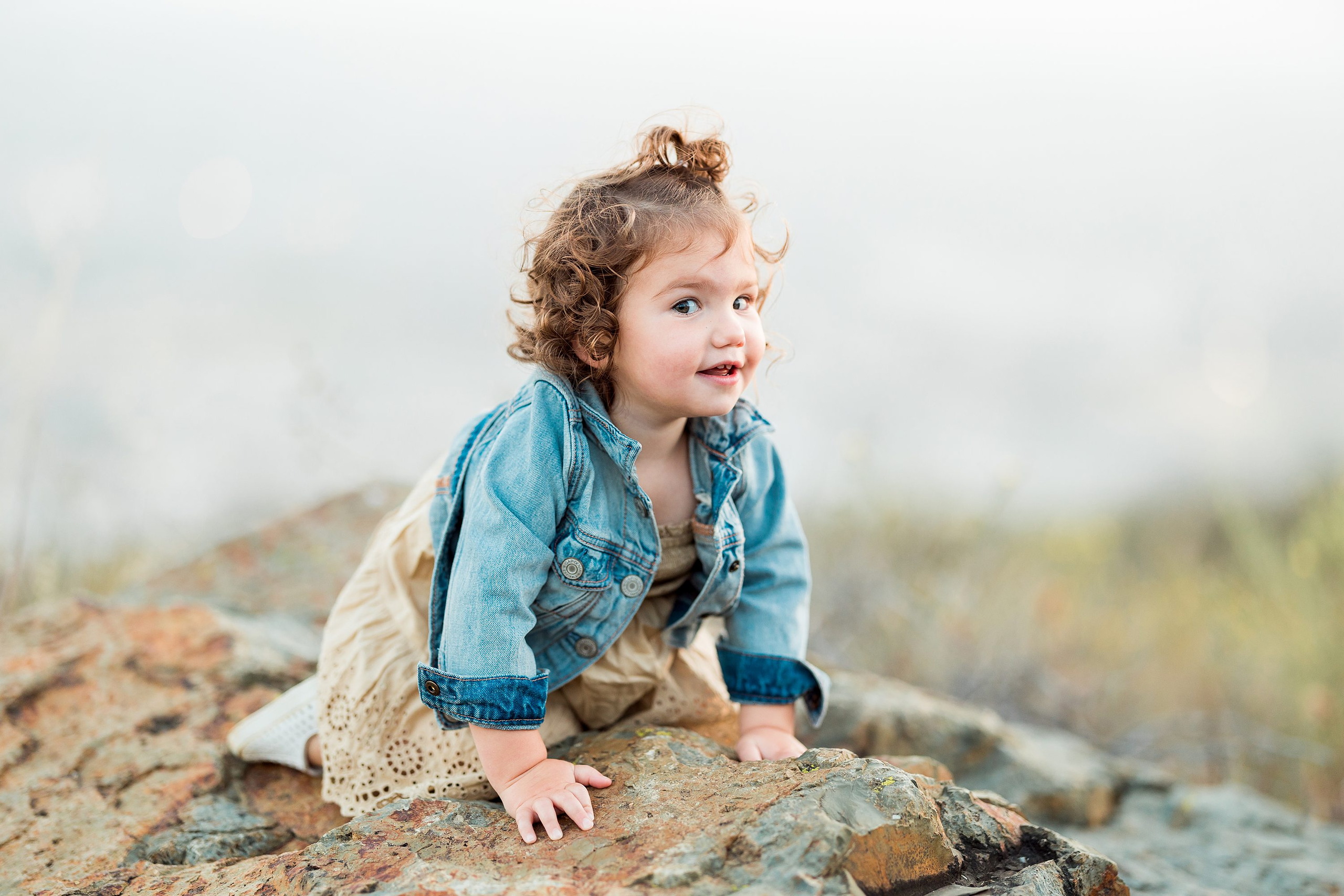 Dictionary Hill Nature Trails Family Photography in San Diego — 29 Toddler crawling across a large rock at Dictionary Hill Nature Trails