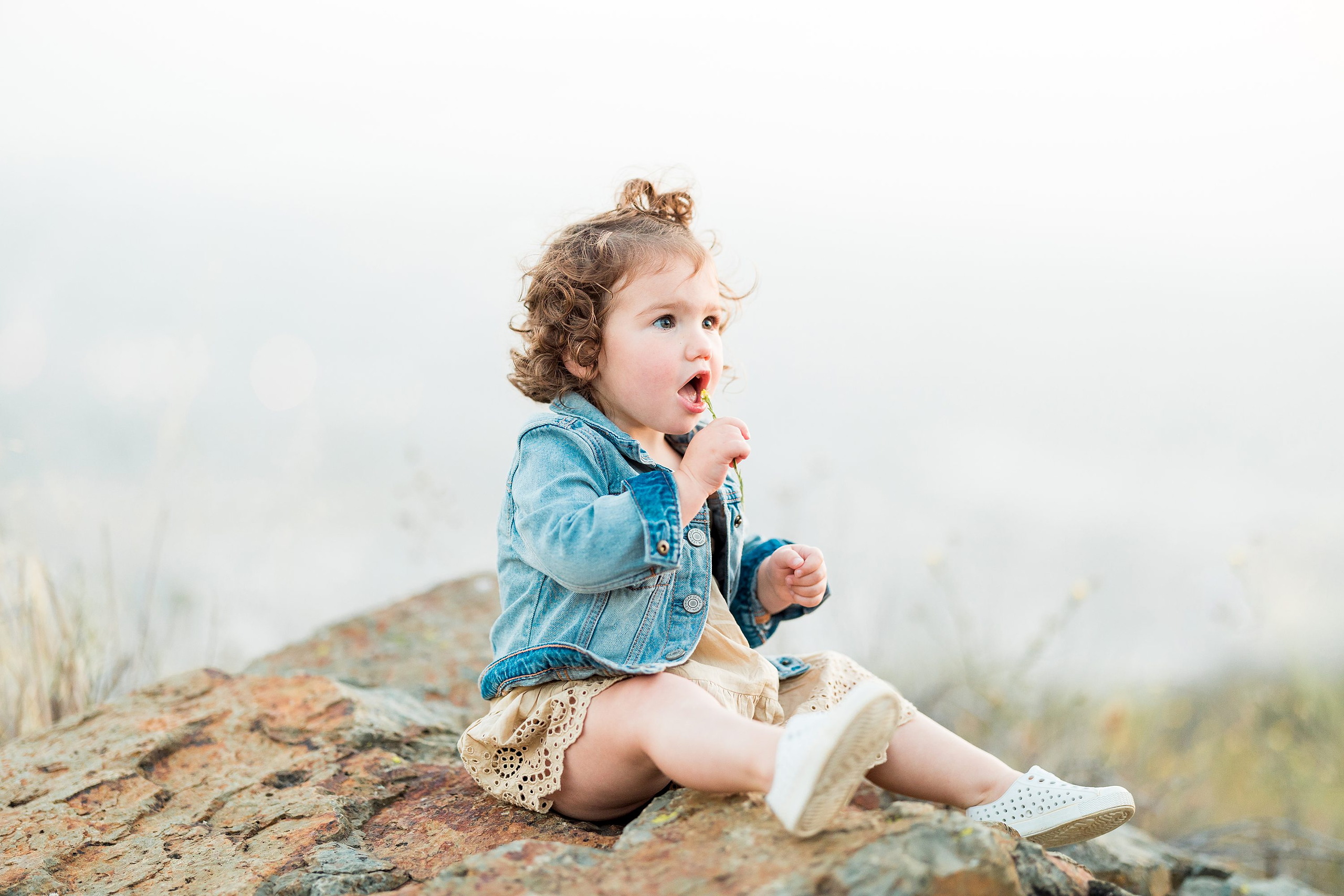 Dictionary Hill Nature Trails Family Photography in San Diego — 32 Toddler sitting on rock with hand to mouth at Dictionary Hill