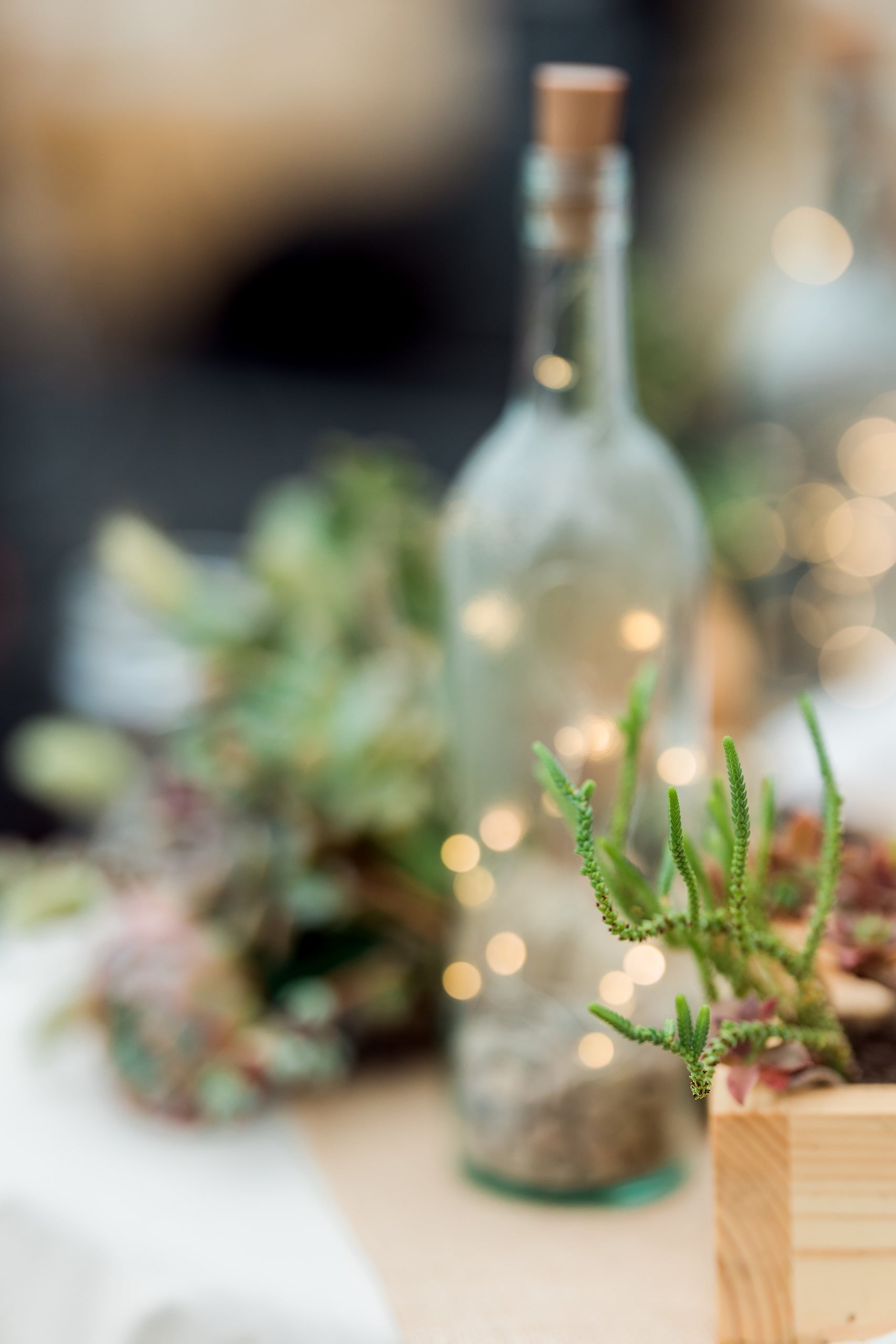 Moriah & Greg’s Wedding — 74 Bride poses solo against backdrop of parents' thriving succulent garden in San Diego