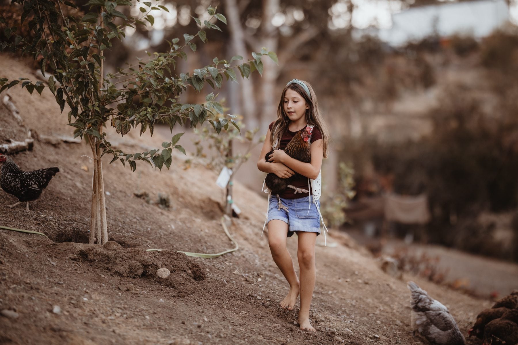 Barefoot girl carries a chicken along a dirt path outdoors