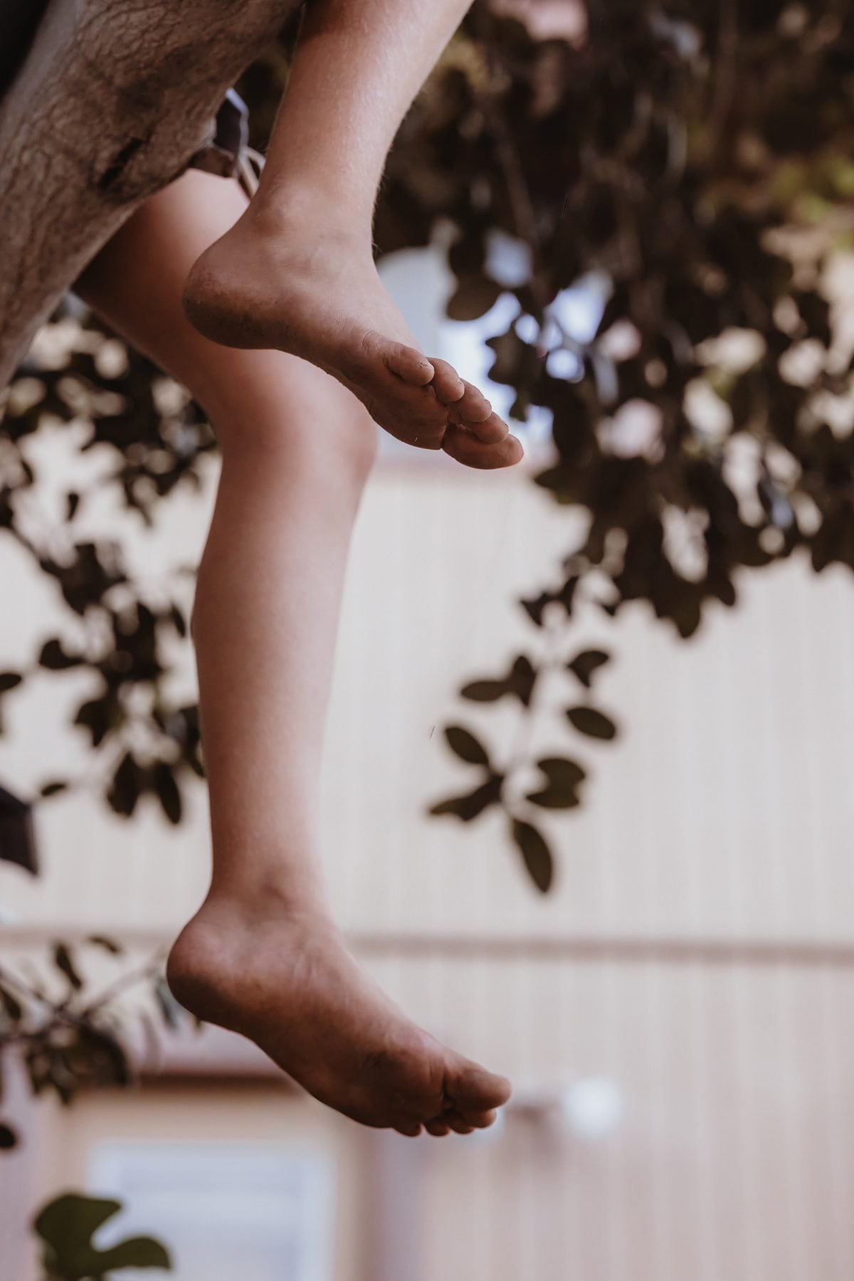 Bare feet dangle from a tree branch above a shaded yard