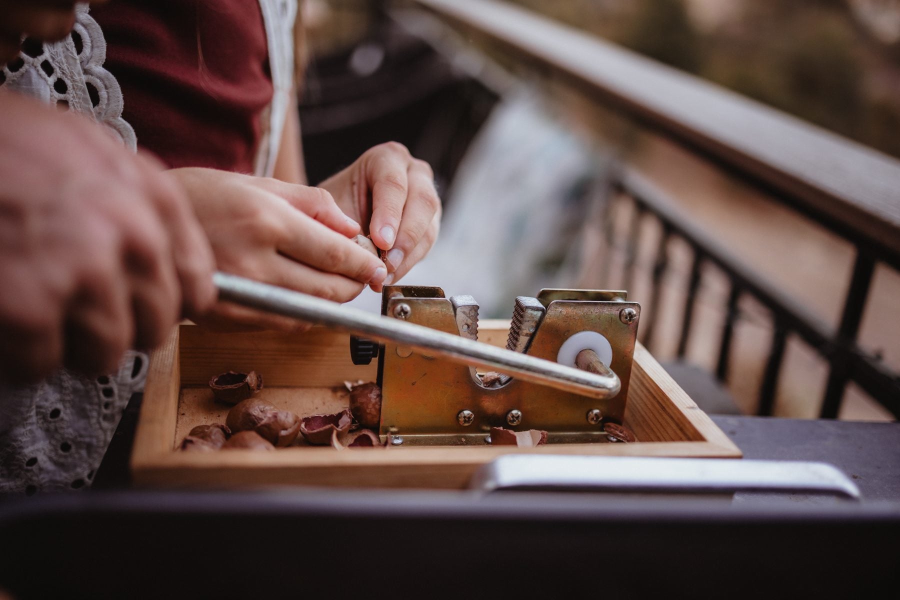 Hands cracking nuts with a metal tool at the Lakeside family home