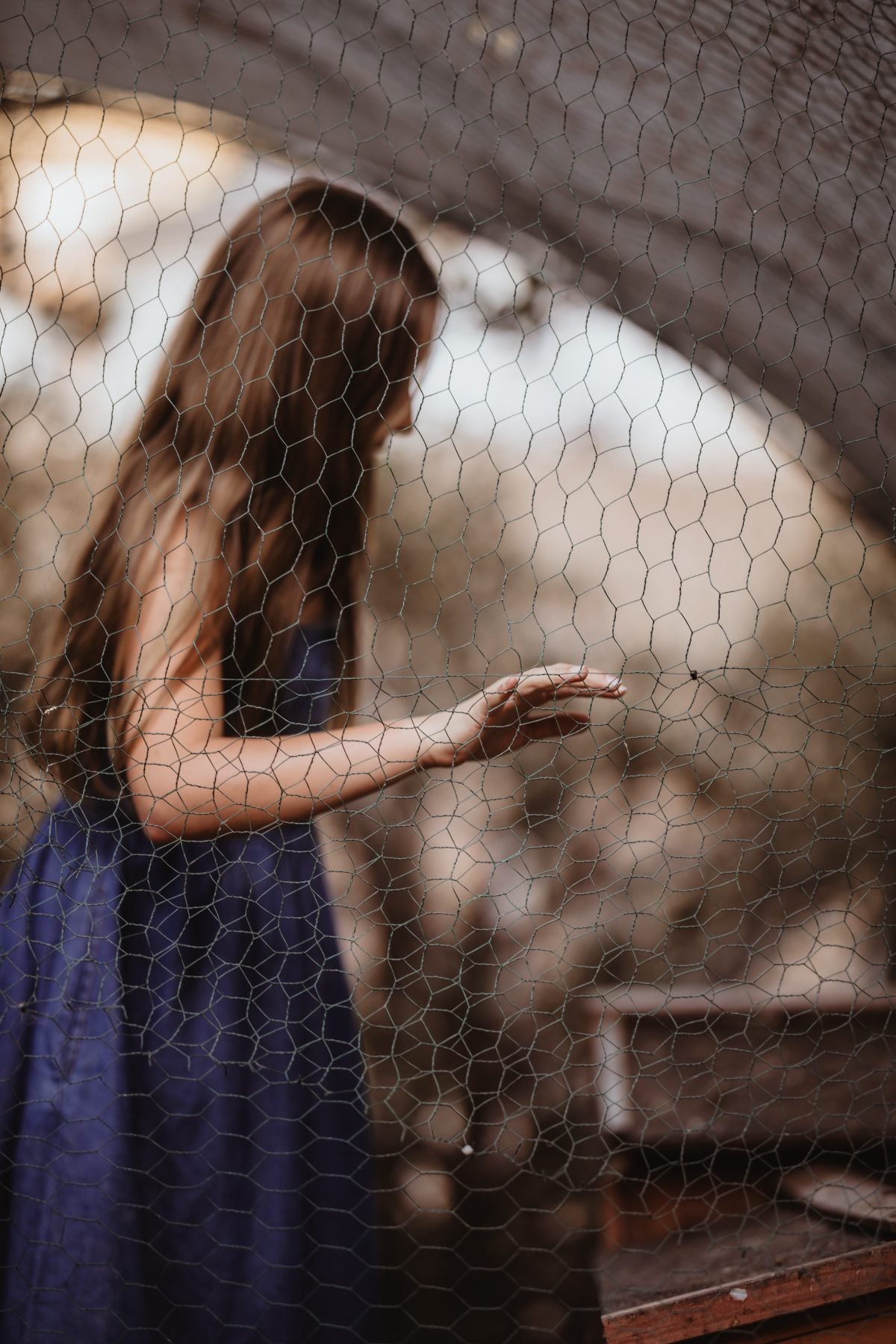 Girl in blue dress reaches toward hand behind wire fence