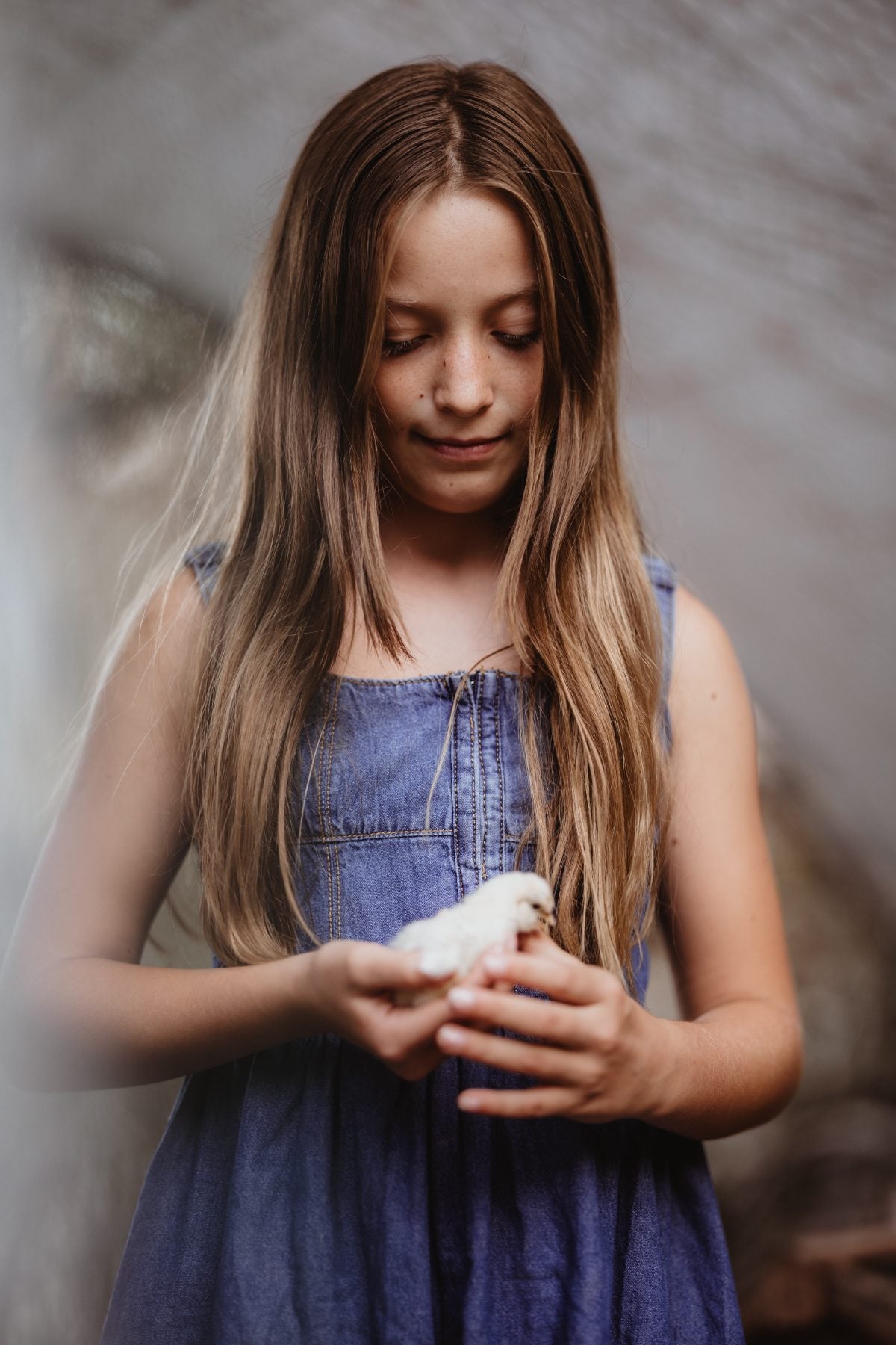 Girl in a denim dress gently holds a fluffy baby chick