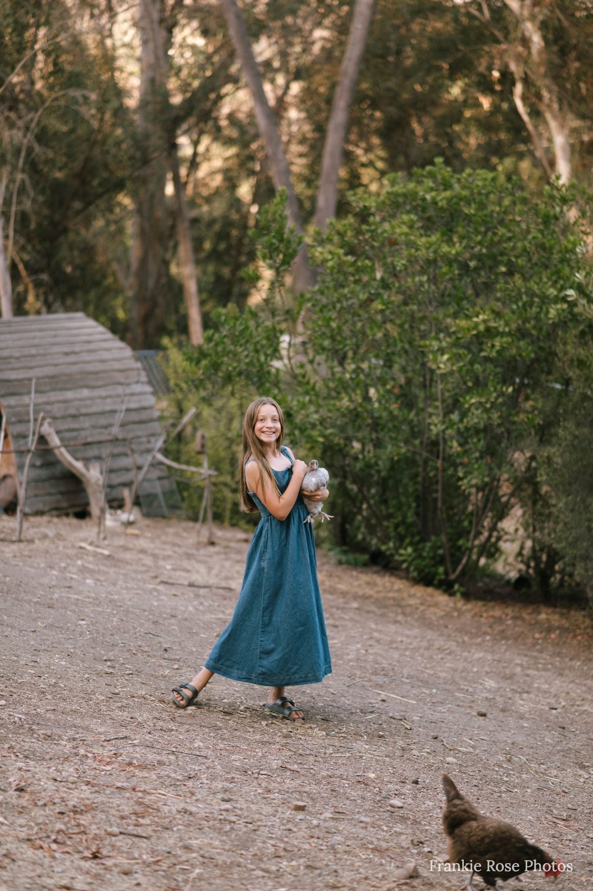 Girl in blue dress laughs while holding a chicken near backyard coop
