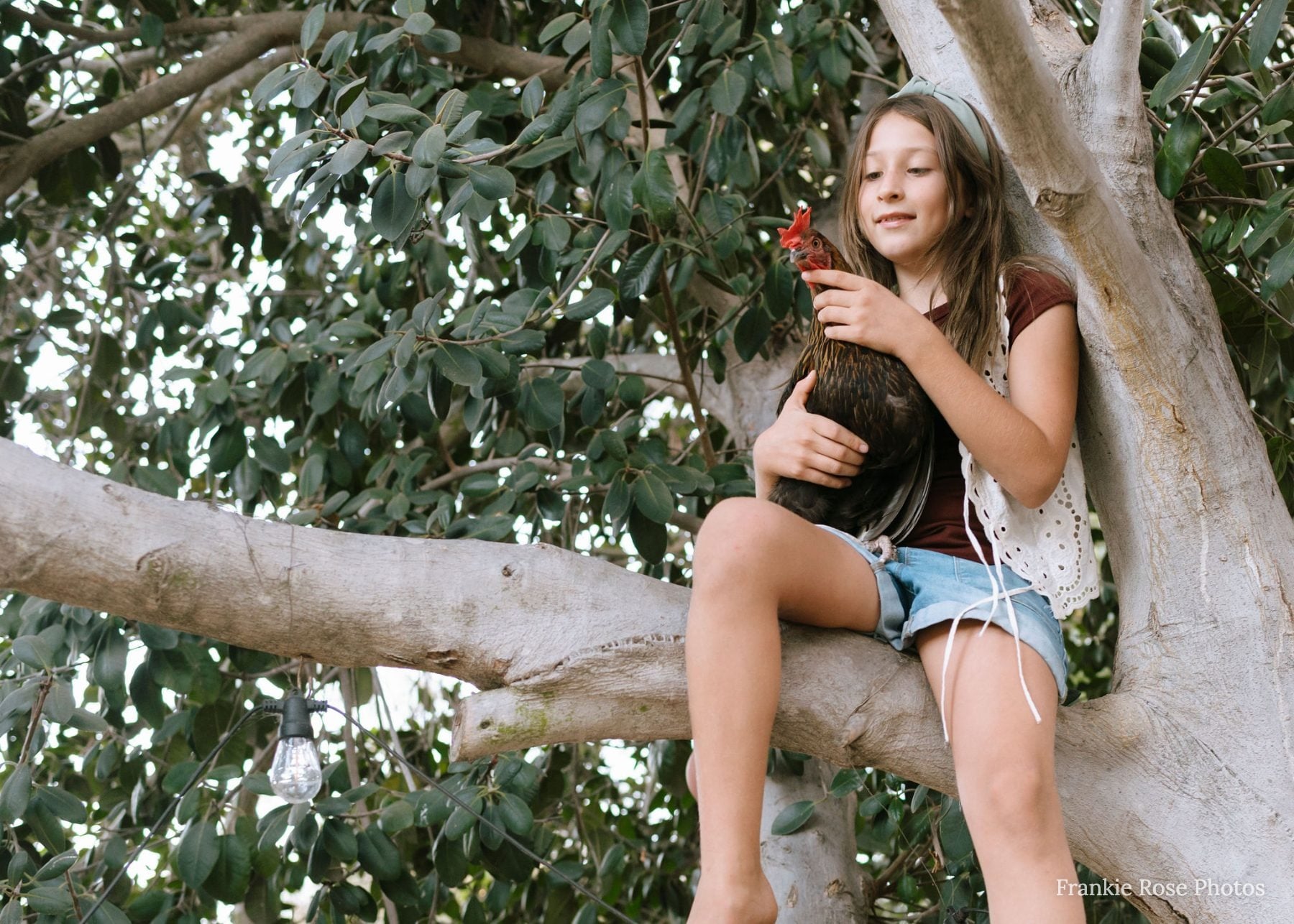 Girl perches in tree branch cradling a chicken, San Diego family photographer session
